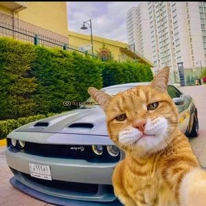 Meet your Posher, Wilfredo